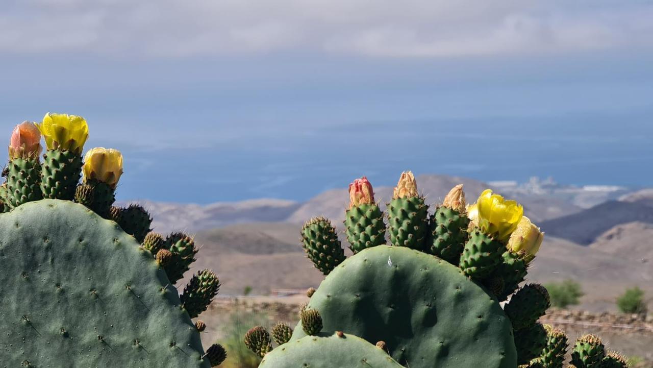Puerto Rico Top Teide And Amadores View Buitenkant foto
