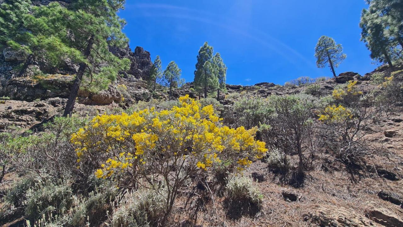 Puerto Rico Top Teide And Amadores View Buitenkant foto