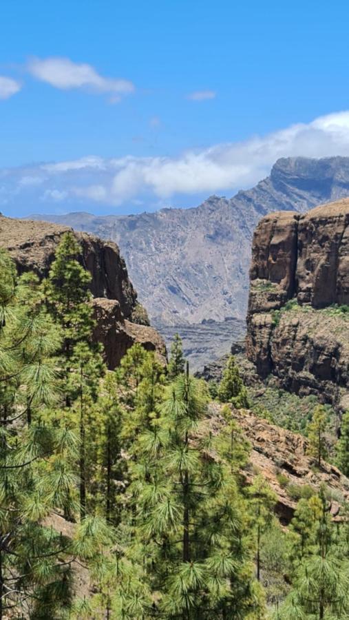 Puerto Rico Top Teide And Amadores View Buitenkant foto
